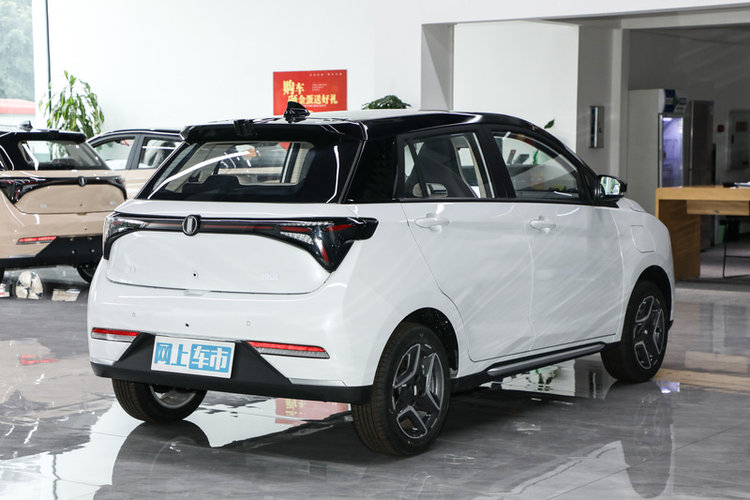 悦01  2024款 335领悦版